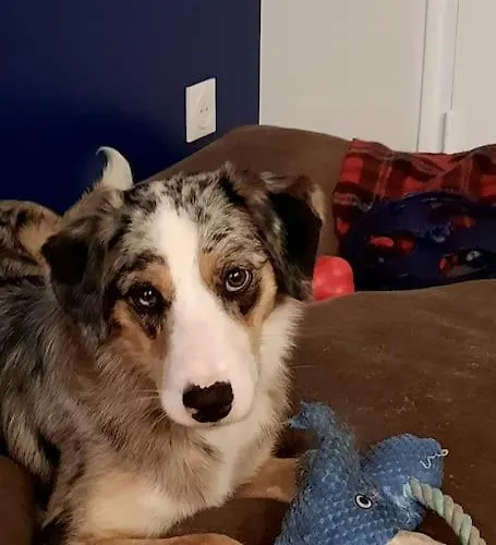 Apartment Location Maroty Manosque